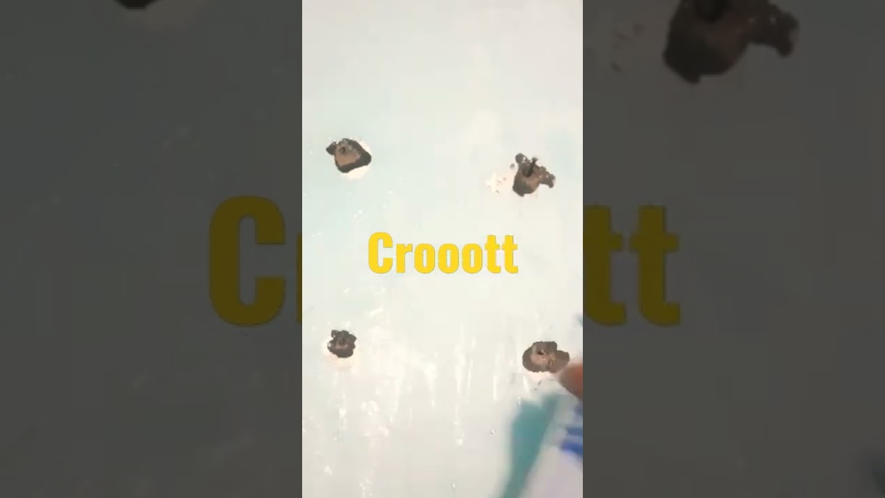 crooot crooot