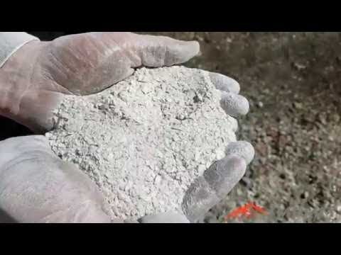 Crushed Oyster Shell Machine For Sale Calcium Carbonate, Chicken Feed, Fertilizer, Concrete Additive