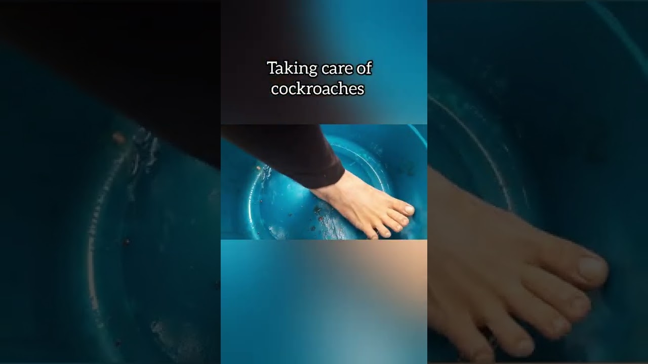 Crushing cockroaches barefoot | One stomp at a time | Dirty feet & sole reveal