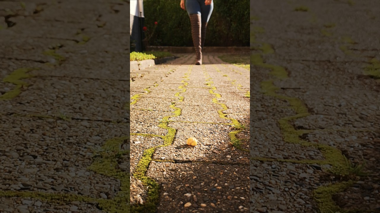 Crushing empty snail shell with Stiletto High Heels Boots #crush #legs #foot #shorts #shoes #asmr