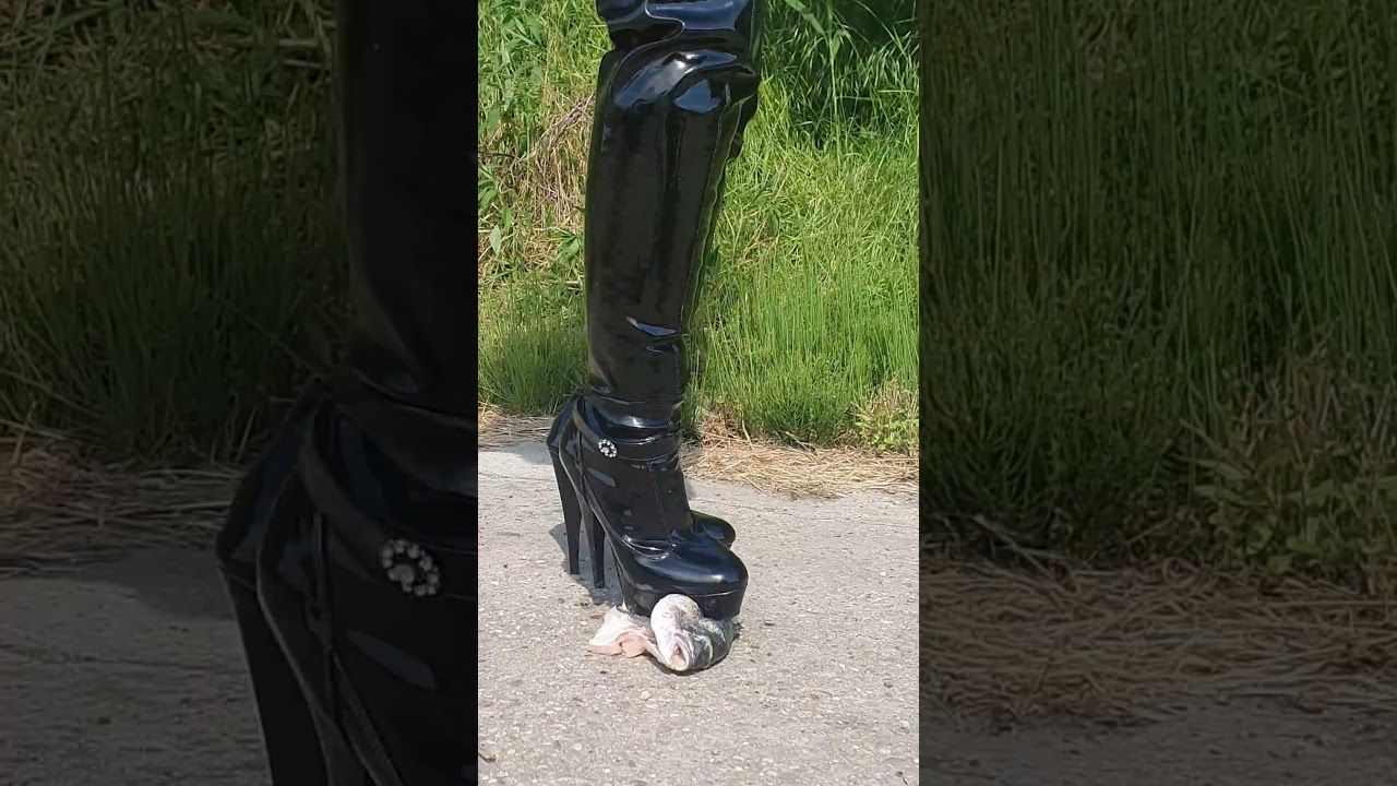 Crushing Fish In Latex High Heel Boots!  💋💋💋