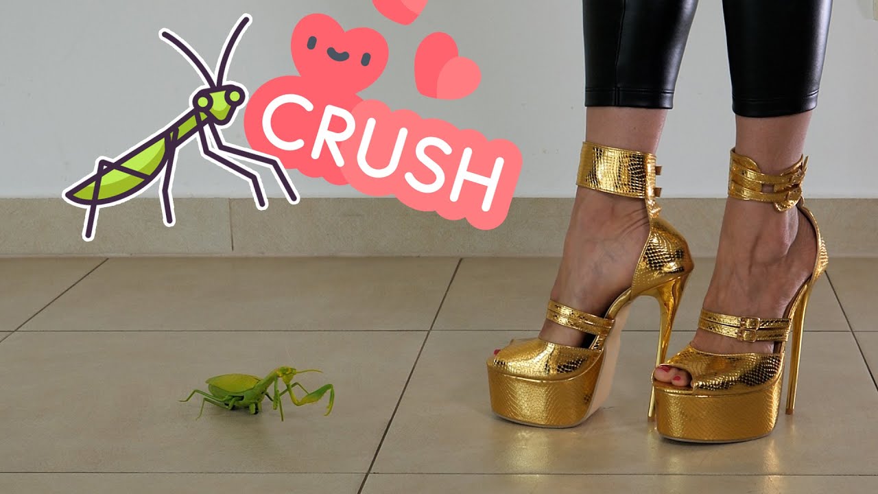 Crushing Praying Mantis 👠