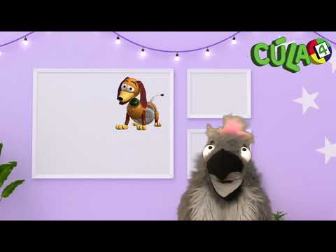 Cula4 continuity segment