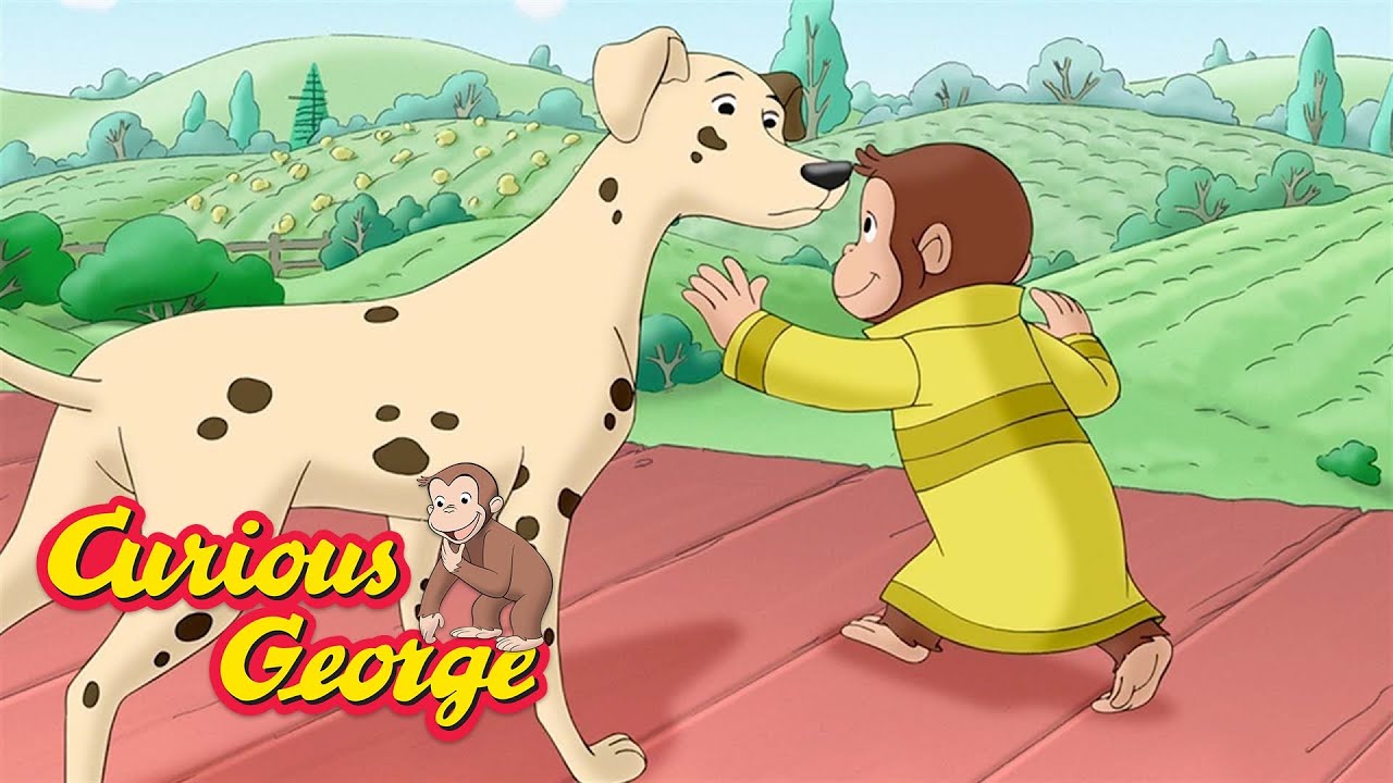 Curious George 🐵 George rescues a dog! 🐵 Kids Cartoon 🐵 Kids Movies 🐵 Videos for Kids