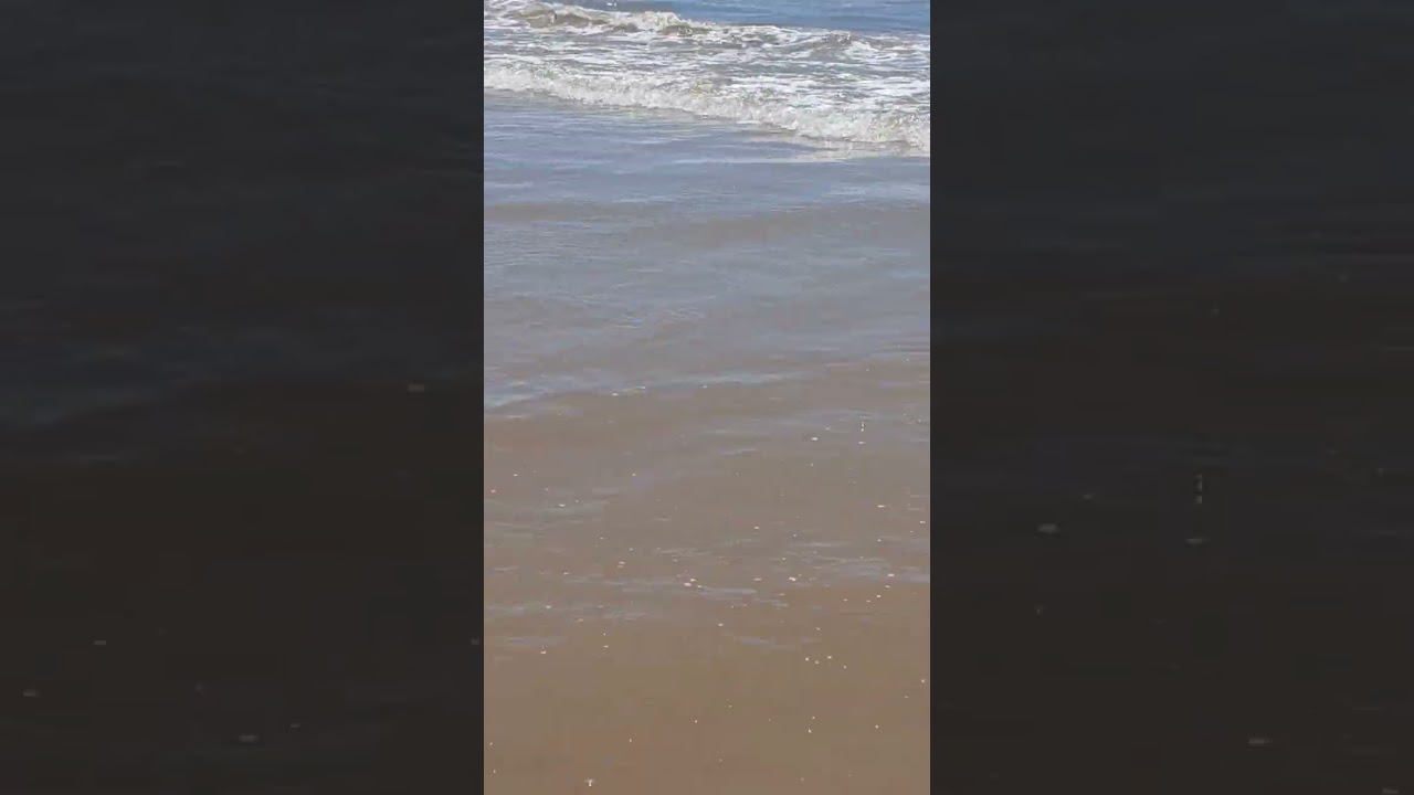 Curtindo o feriadão