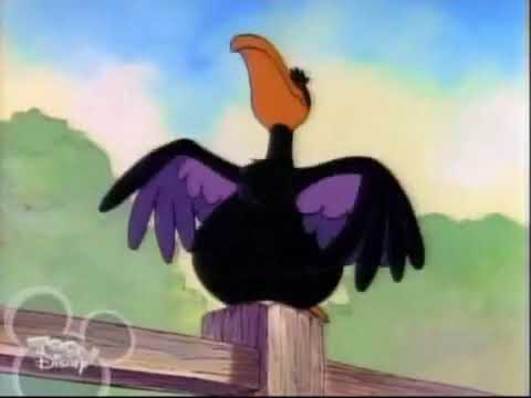 Cute bird vore