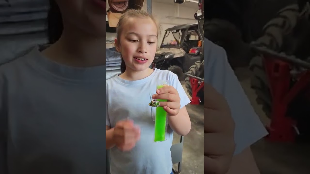 CUTE GIRLS EATING POPSICLES || SUMMER IN ALASKA  #shorts #popcicles