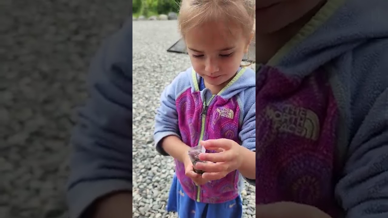 CUTE GIRLS EATING YUMMY POPSICLE SWEET AND COLD  #shorts #popsicle #toddler