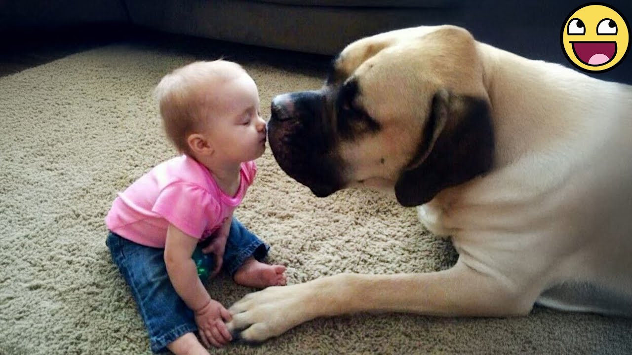 Cutest Baby and Dog Kisses Ever! 🐶💖👶