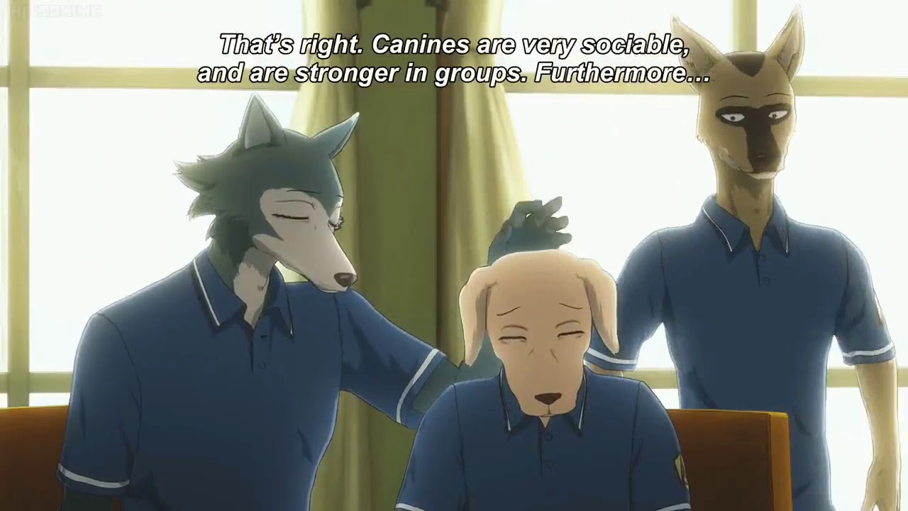 Cutest scene in Beastars - good boi Jack