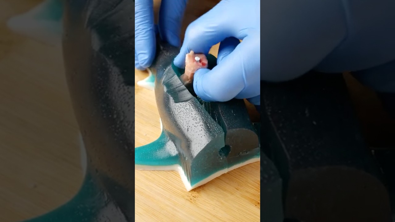 Cutting Open A Gummy Shark