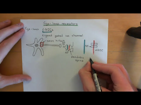 Cys-Loop Receptors Part 1