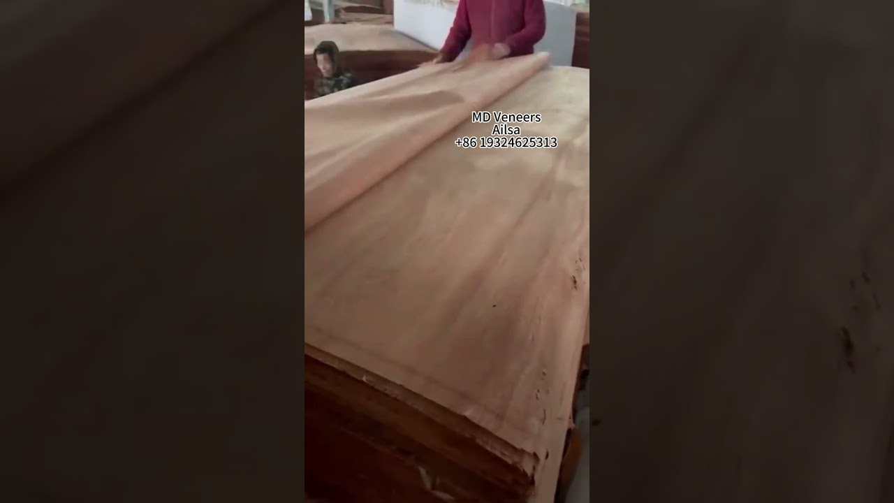 D grade bintangor face veneer quality checking #bintangor #veneer #faceveneer #woodveneer #plywood