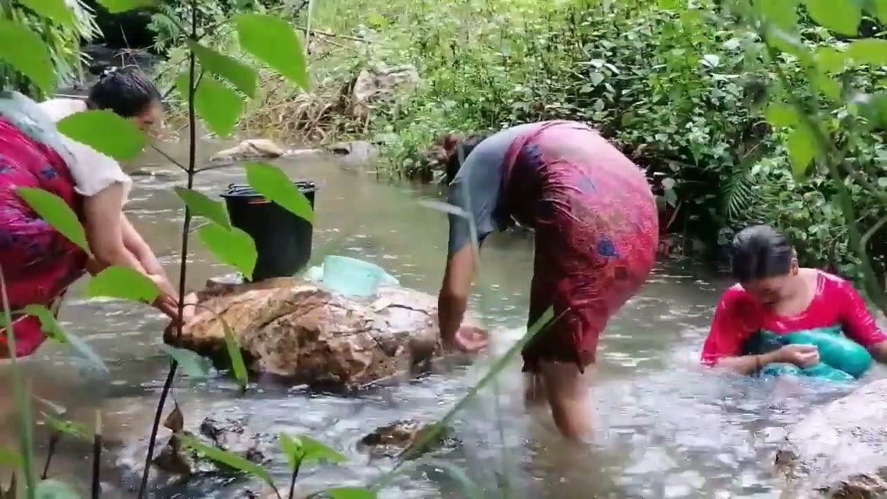 Da dej, Hmong Compilations 14