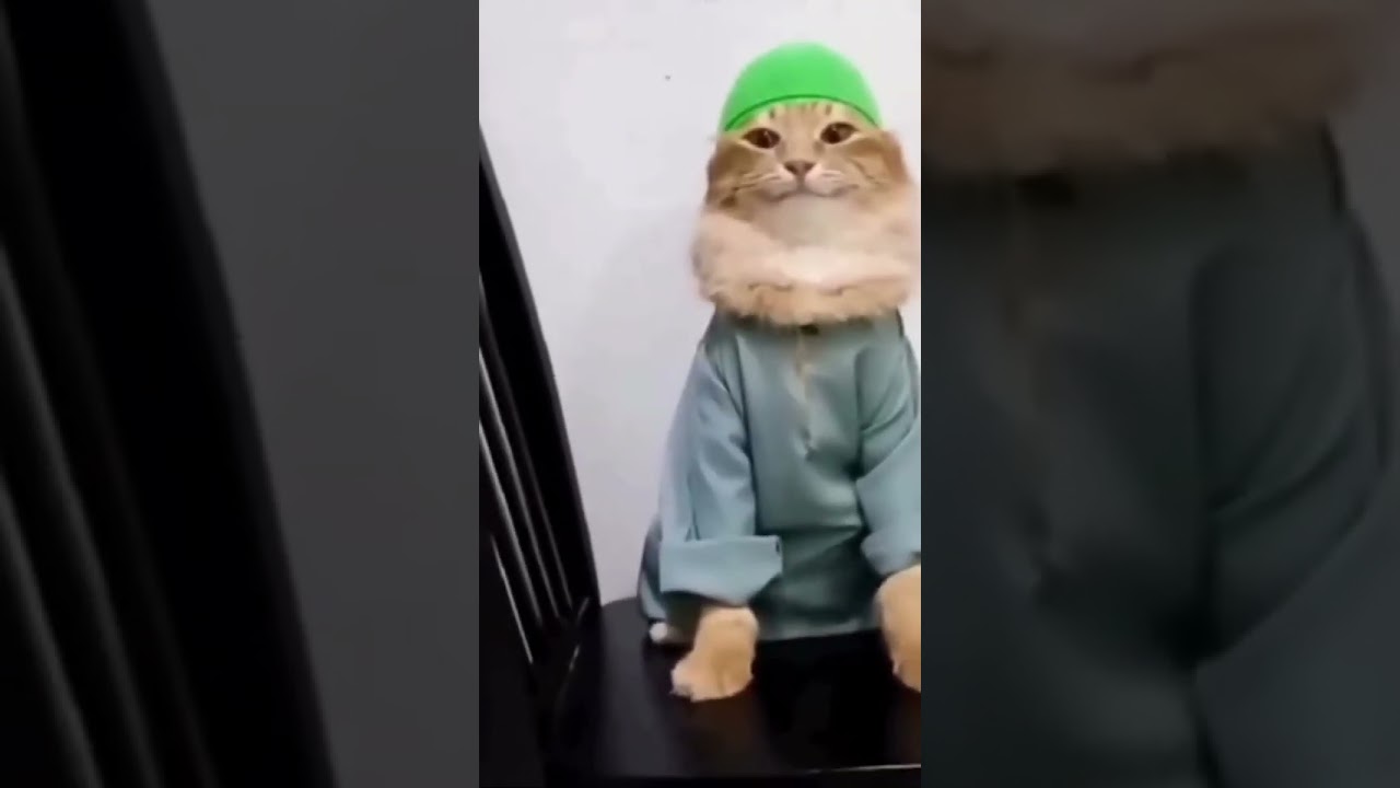 Dabdabidab #dabdabidab #dabdabeni #dabdab