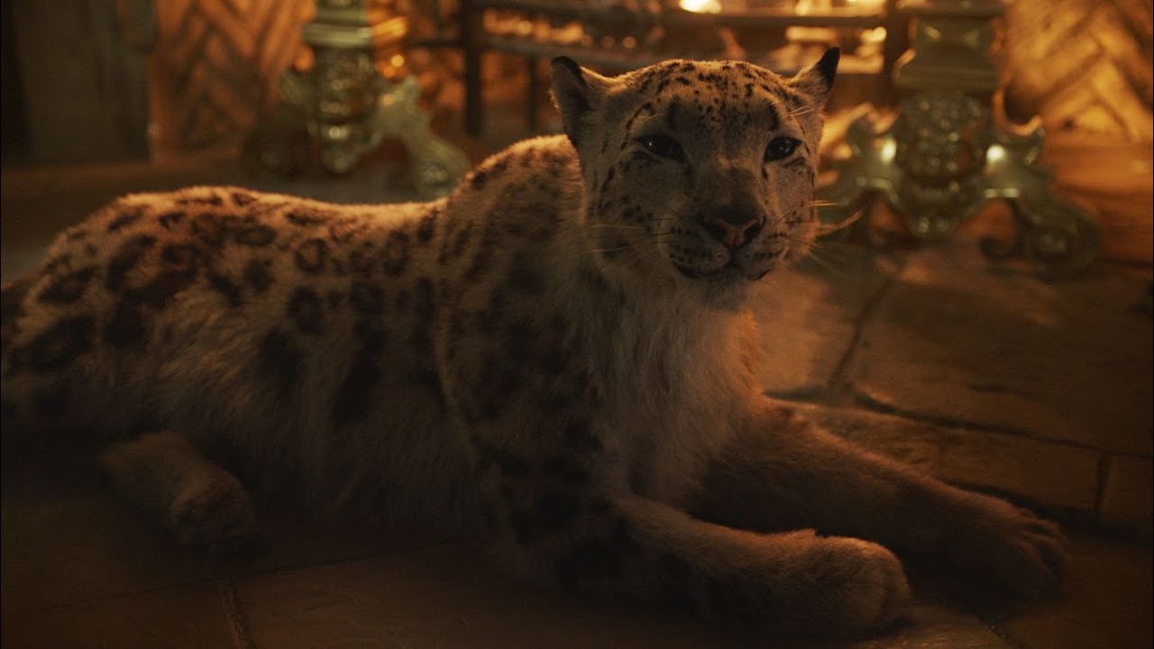 Daemon Scenes (His Dark Materials - Season 1)