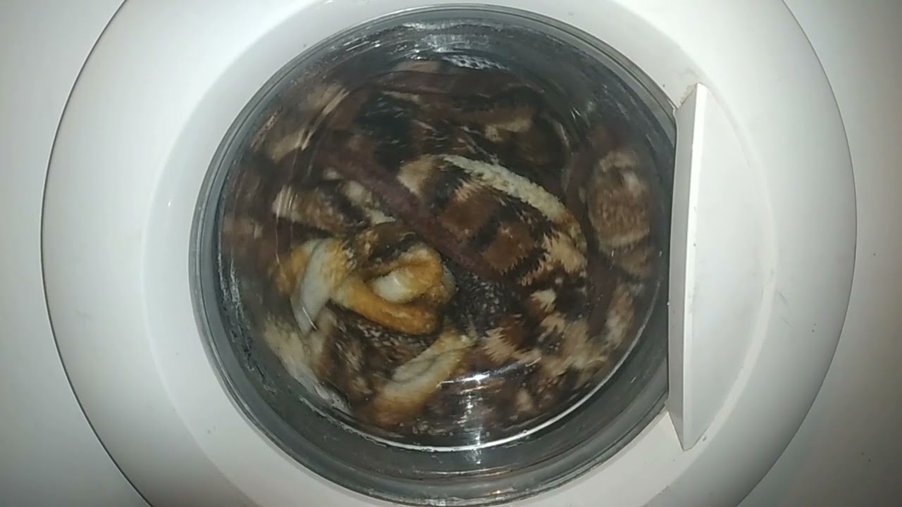 Daewoo DWD-F1011 Cottons 40'c + Extra Rinse