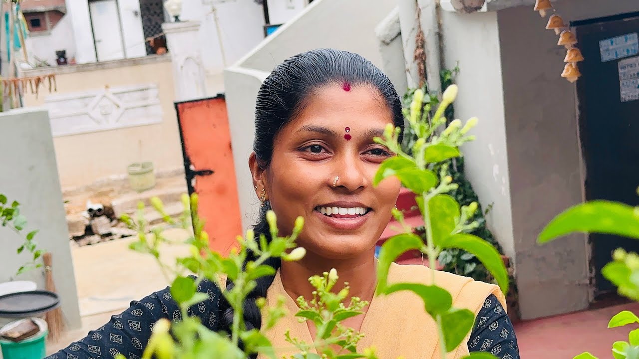 Daily Life in village @shirishashekarvlogs