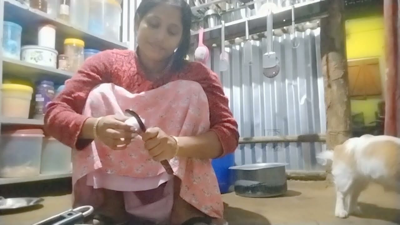 Daily Vlog 🌰
