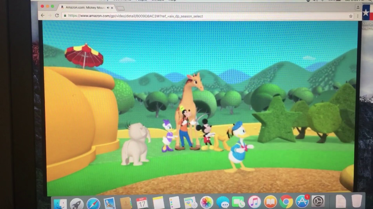 Daisy's Pet Project: Oh Toodles!