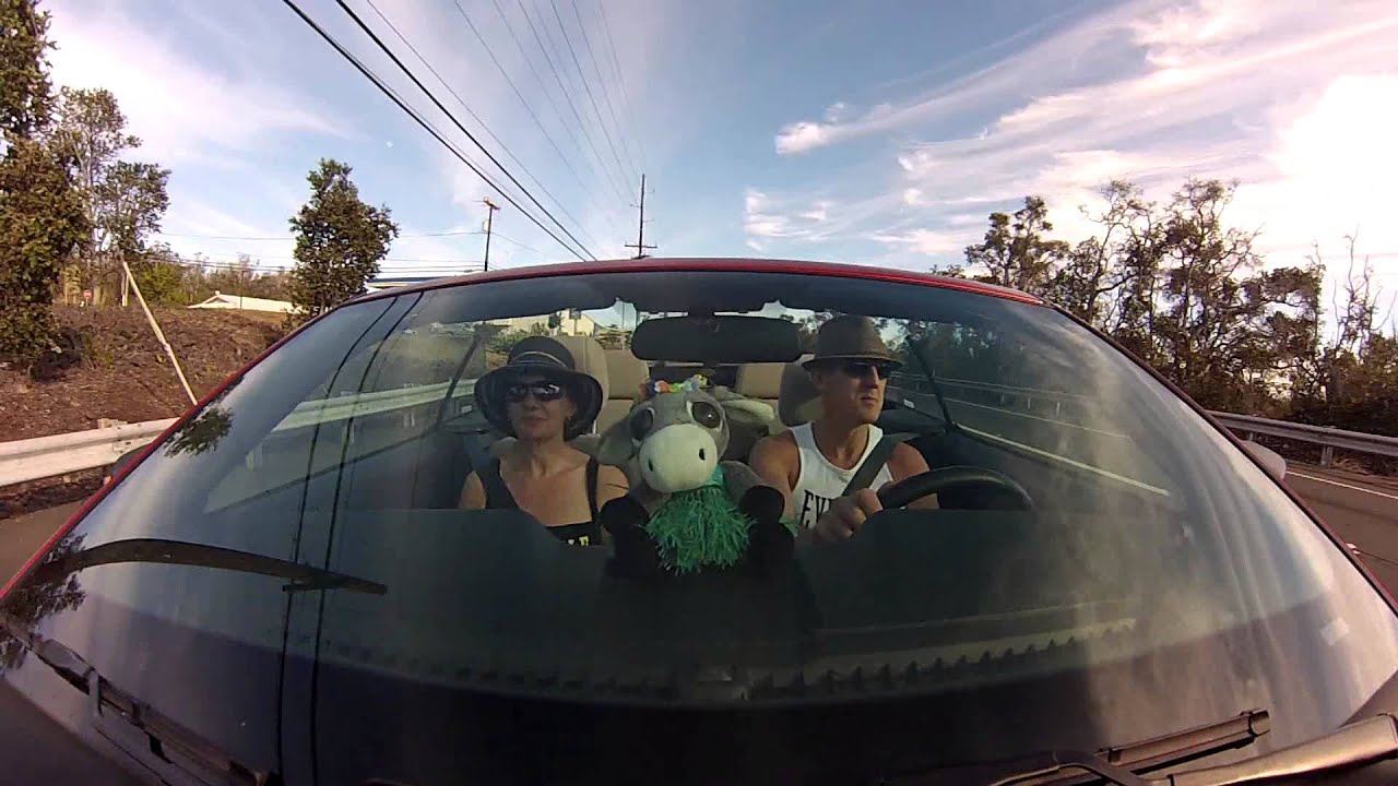 Daisy's Road Trip