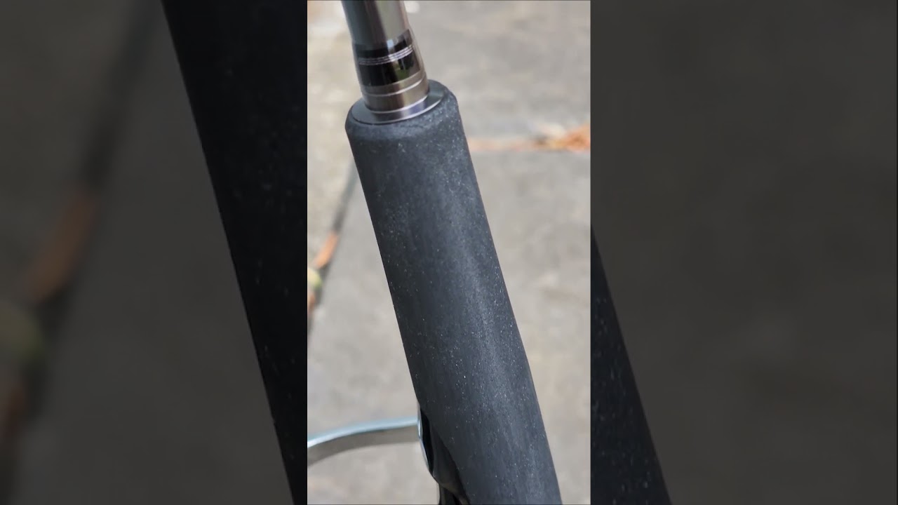 DAIWA Wicked Weasel - The BEST Light Tackle Lure Rod?