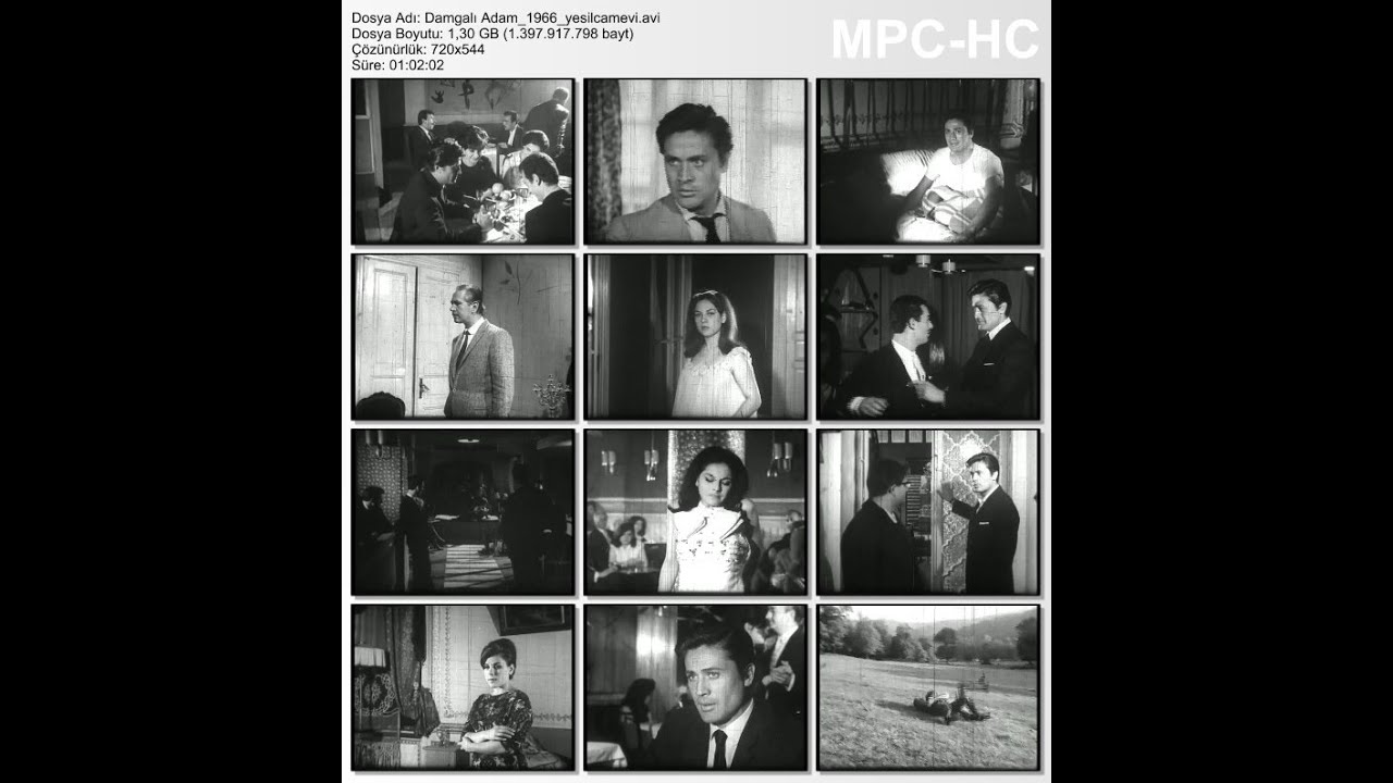 Damgalı Adam (1966 yapımı film)