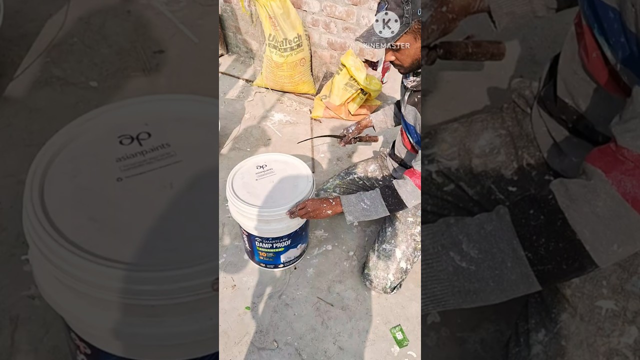 DAMP PROOF ADVANCED 10 YEARS WARRANTY PRIMER Backet open Asian paint #shorts #viral #painting #art