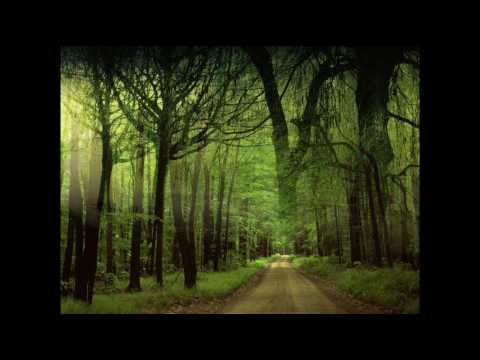 Dan Spataru - Drumurile noastre