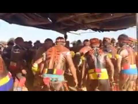 Dança ritual indigena do alto XINGU do povo Kalapalo