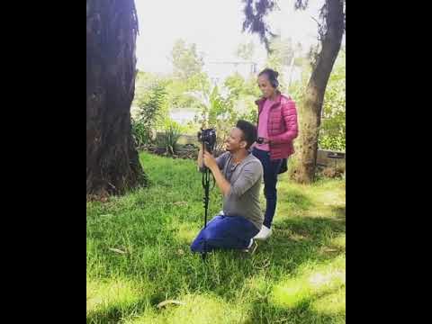 Danayit mekbib live