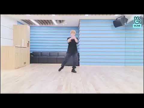 [Dance Practice Mirrored] Stray Kids - Easy