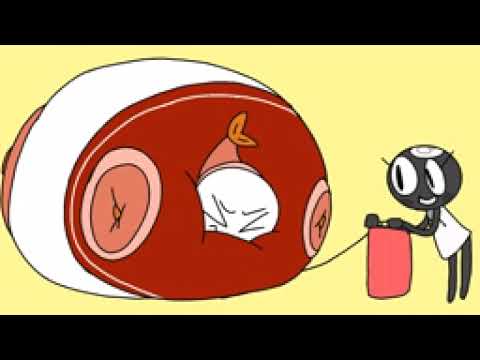 Dandy's World Shrimpo Inflate Be Like: