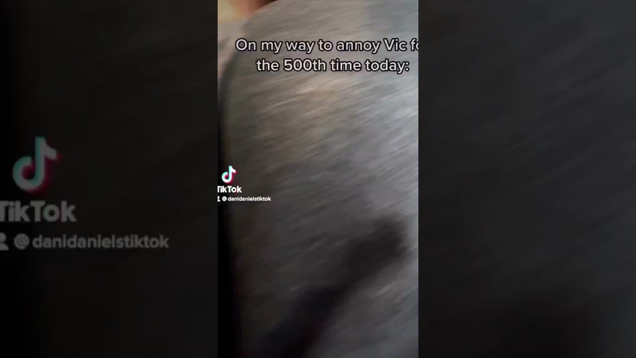 Dani Daniels twerk