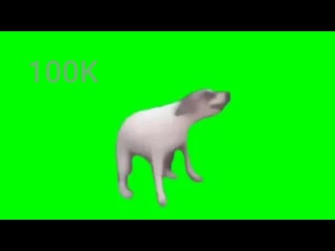 DANS EDEN KÖPEK GREEN SCREEN.
