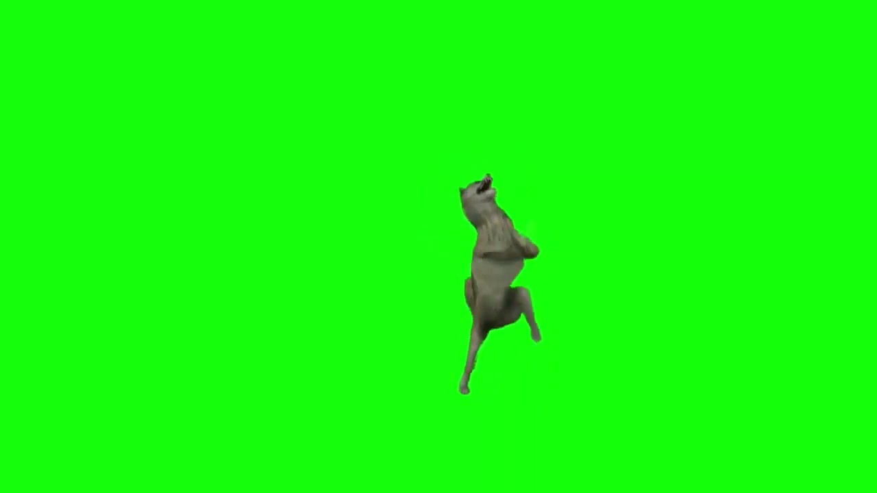 DANS EDEN KURT TWERK DANS DANCING WOLF / Funny Wolf Dance / Watch Legend Dance (2021)