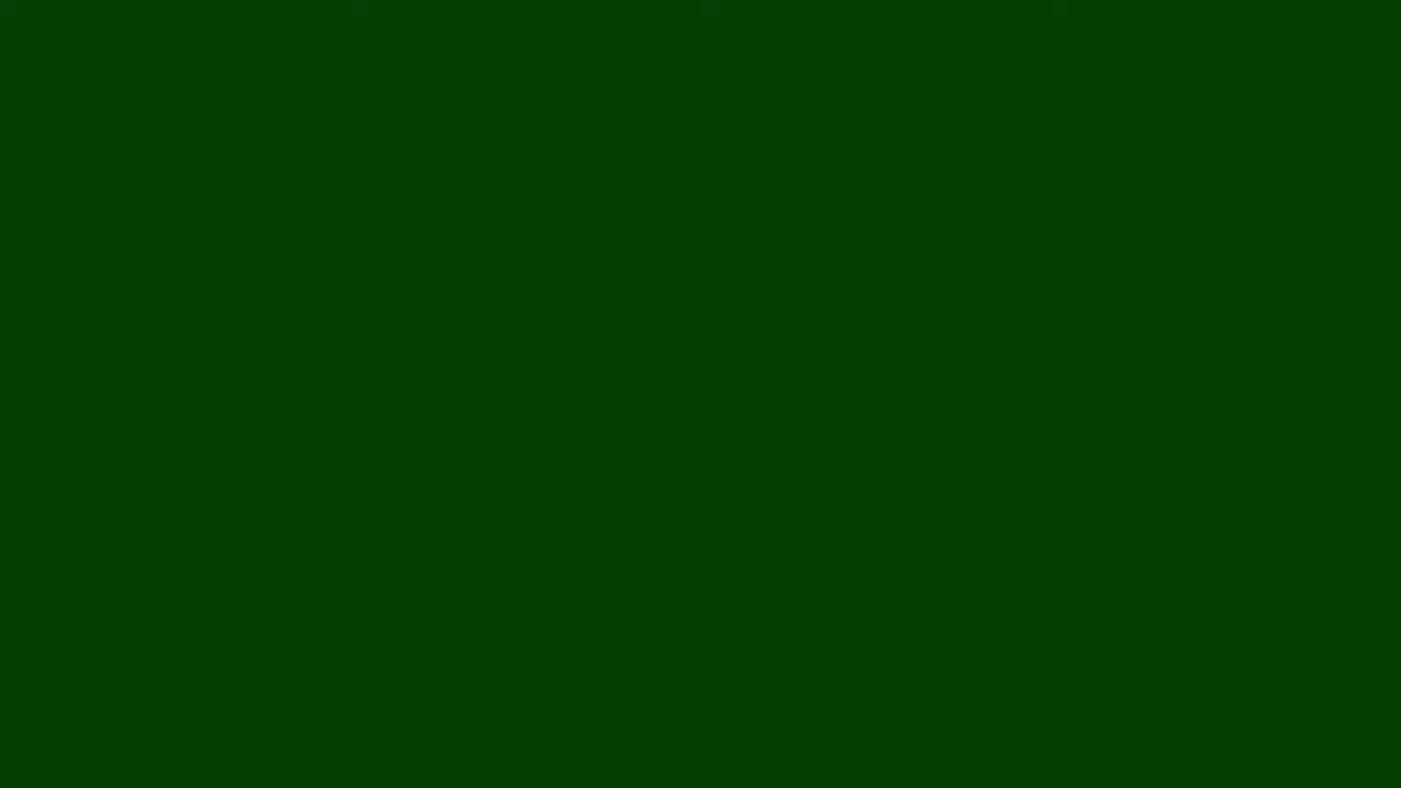 DARK GREEN SCREEN (1) (HD) - 10 HOURS