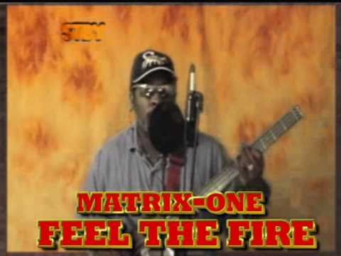 DARTANYA E WILLIAMS FELL THE FIRE