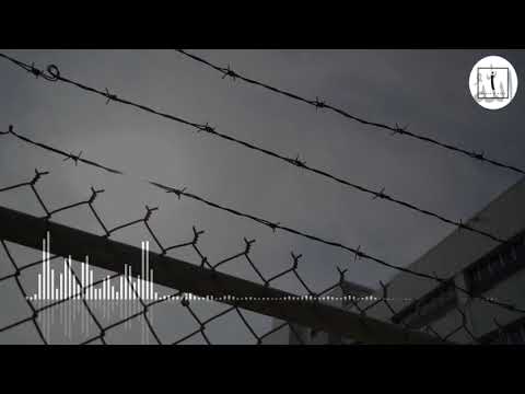 Davanın Aslanları | Türkçe Neşid