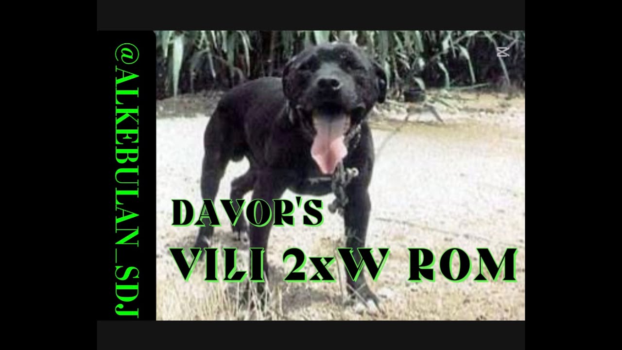 DAVOR'S VILI 2xW ROM