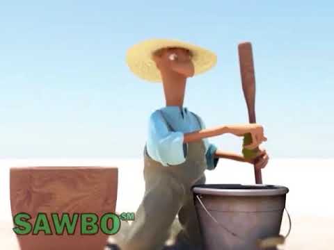 Dawa ya Asili ya Mbegu ya Mwarobain