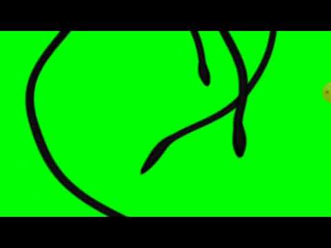 Day 17 green screen