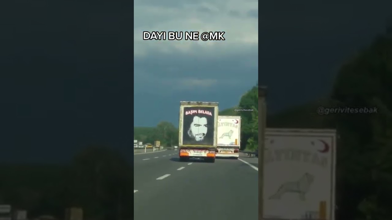 Dayı Bune Amk