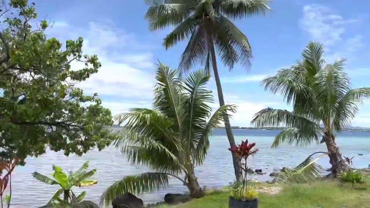Day Trip to Vaitape from the St. Regis Bora Bora