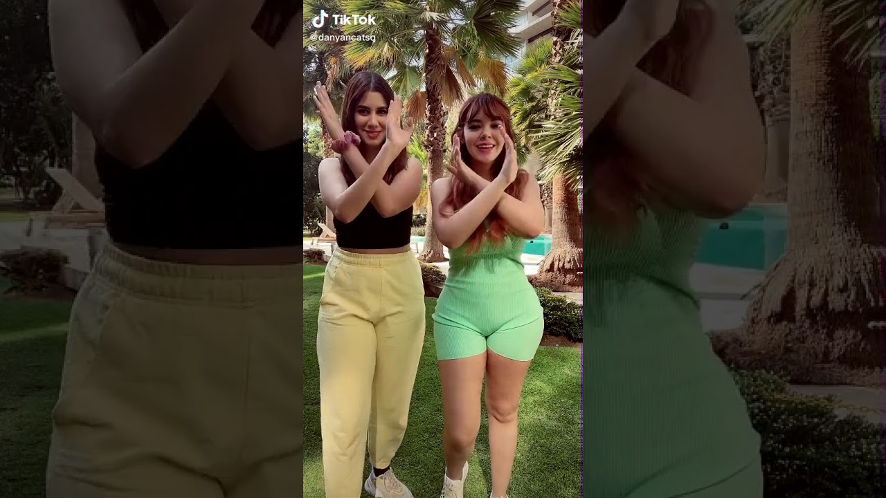 Dayan Cat - Baile Gato - Tik Tok #13