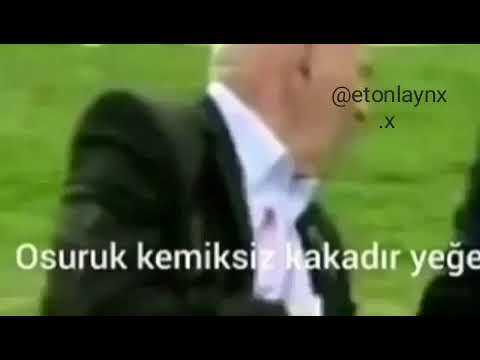 DAYI NE DİYORSUN AMK