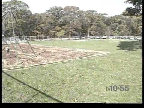 DDI Renovations