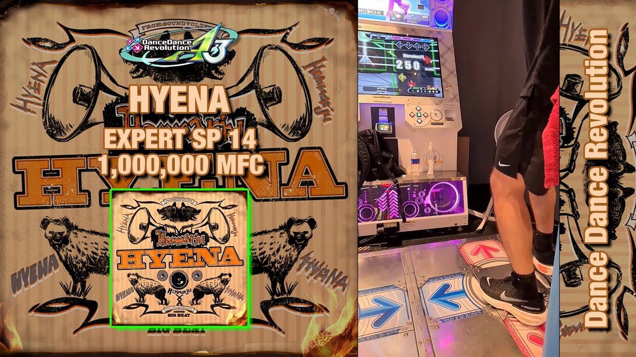 [DDR A3] HYENA ESP-14 1,000,000 MFC