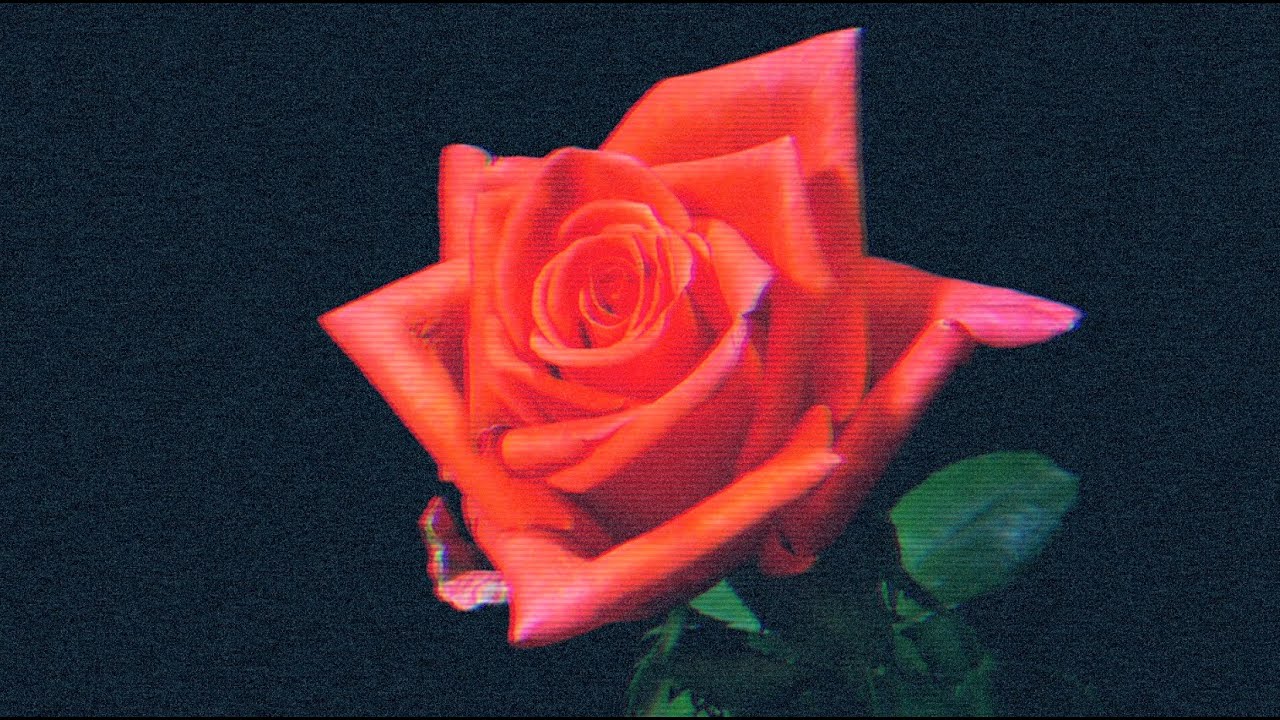 Dead! - You're So Cheap (Official Music Video)