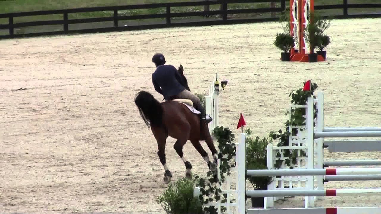 Dealbreaker Upperville cl 421 Jumpoff